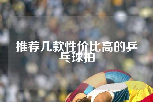 推荐几款性价比高的乒乓球拍