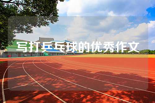 写打乒乓球的优秀作文