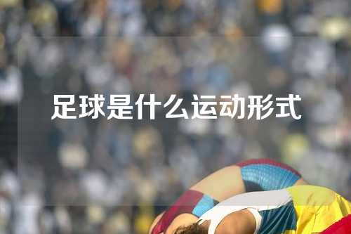 足球是什么运动形式