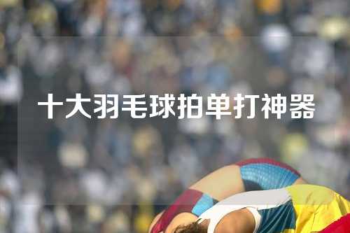 十大羽毛球拍单打神器