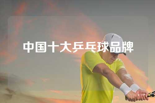 中国十大乒乓球品牌