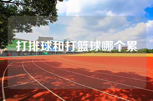 打排球和打篮球哪个累