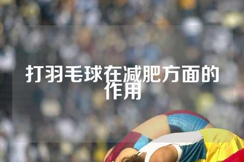 打羽毛球在减肥方面的作用