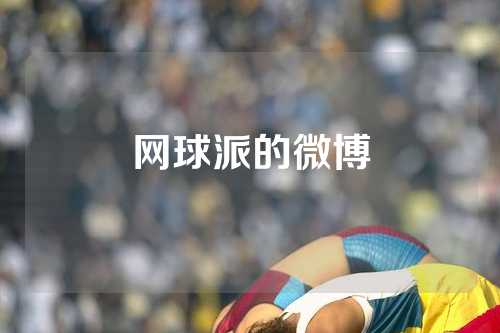 网球派的微博