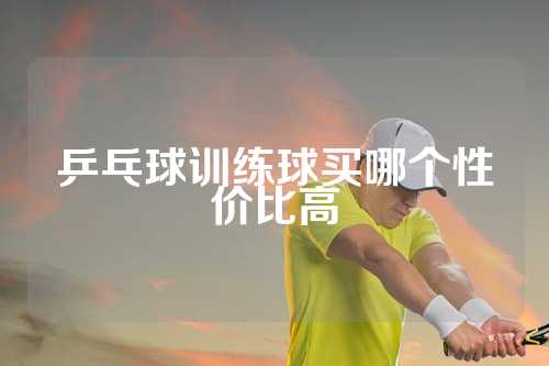 乒乓球训练球买哪个性价比高