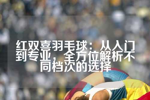 红双喜羽毛球：从入门到专业，全方位解析不同档次的选择