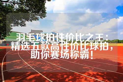 羽毛球拍性价比之王：精选五款高性价比球拍，助你赛场称霸！