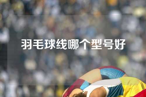 羽毛球线哪个型号好