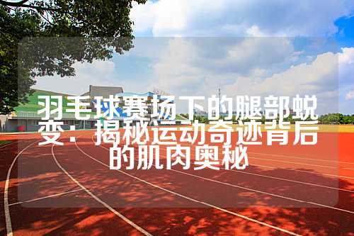 羽毛球赛场下的腿部蜕变：揭秘运动奇迹背后的肌肉奥秘