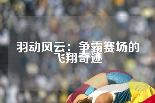 羽动风云：争霸赛场的飞翔奇迹