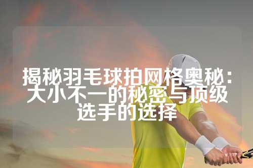 揭秘羽毛球拍网格奥秘：大小不一的秘密与顶级选手的选择