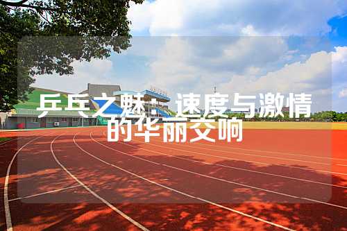 乒乓之魅：速度与激情的华丽交响