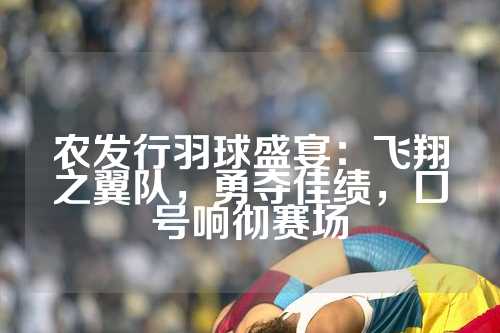 农发行羽球盛宴：飞翔之翼队，勇夺佳绩，口号响彻赛场