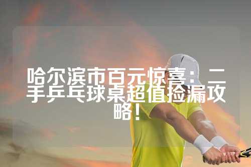 哈尔滨市百元惊喜：二手乒乓球桌超值捡漏攻略！