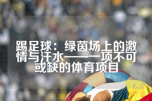 踢足球：绿茵场上的激情与汗水——一项不可或缺的体育项目