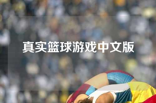 真实篮球游戏中文版