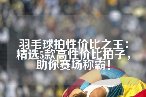羽毛球拍性价比之王：精选5款高性价比拍子，助你赛场称霸！