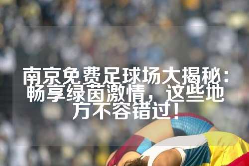 南京免费足球场大揭秘：畅享绿茵激情，这些地方不容错过！