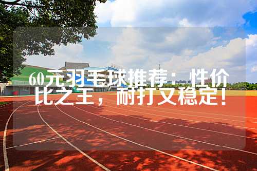60元羽毛球推荐：性价比之王，耐打又稳定！