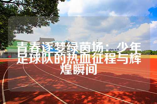 青春逐梦绿茵场：少年足球队的热血征程与辉煌瞬间
