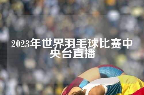 2023年世界羽毛球比赛中央台直播