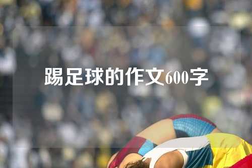 踢足球的作文600字