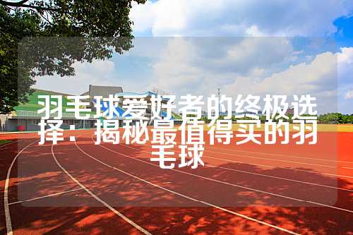 羽毛球爱好者的终极选择：揭秘最值得买的羽毛球