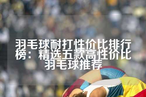 羽毛球耐打性价比排行榜：精选五款高性价比羽毛球推荐