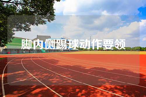 脚内侧踢球动作要领