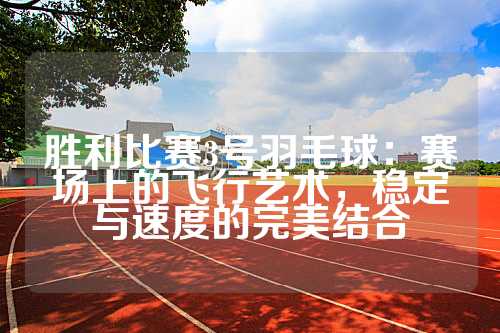 胜利比赛3号羽毛球：赛场上的飞行艺术，稳定与速度的完美结合