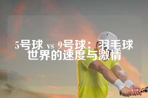 5号球 vs 9号球：羽毛球世界的速度与激情
