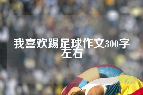 我喜欢踢足球作文300字左右