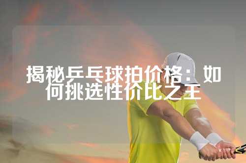 揭秘乒乓球拍价格：如何挑选性价比之王