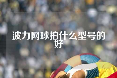 波力网球拍什么型号的好