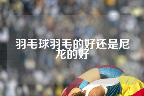 羽毛球羽毛的好还是尼龙的好