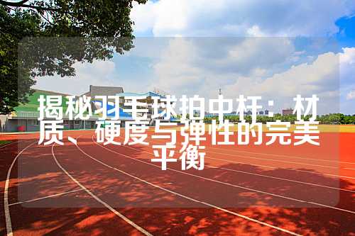 揭秘羽毛球拍中杆：材质、硬度与弹性的完美平衡