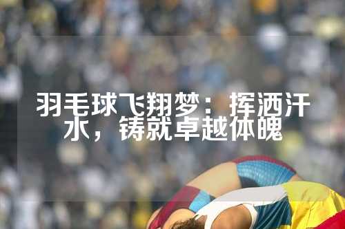 羽毛球飞翔梦：挥洒汗水，铸就卓越体魄