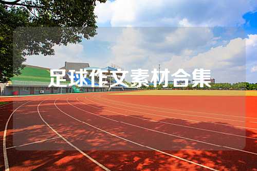 足球作文素材合集