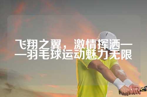 飞翔之翼，激情挥洒——羽毛球运动魅力无限
