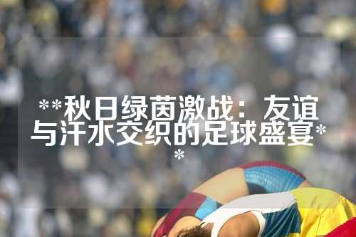 **秋日绿茵激战：友谊与汗水交织的足球盛宴**