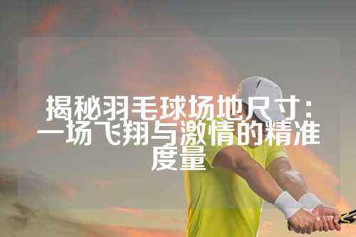 揭秘羽毛球场地尺寸：一场飞翔与激情的精准度量