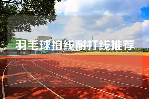 羽毛球拍线耐打线推荐