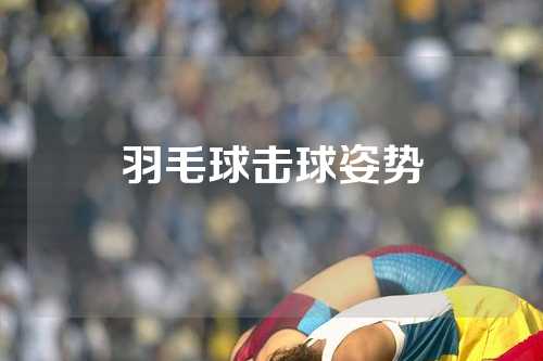 羽毛球击球姿势