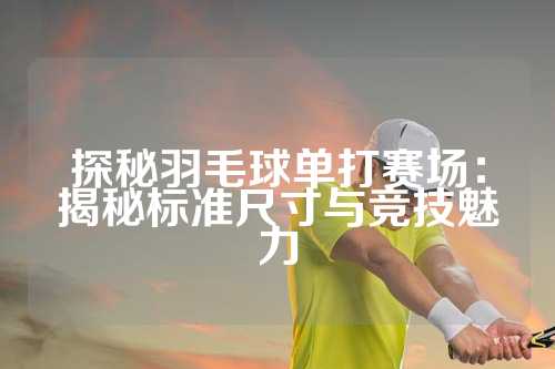 探秘羽毛球单打赛场：揭秘标准尺寸与竞技魅力