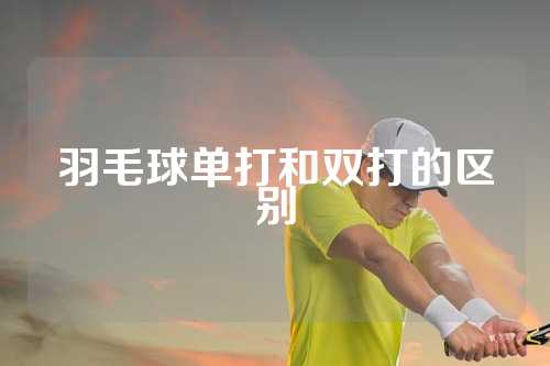 羽毛球单打和双打的区别