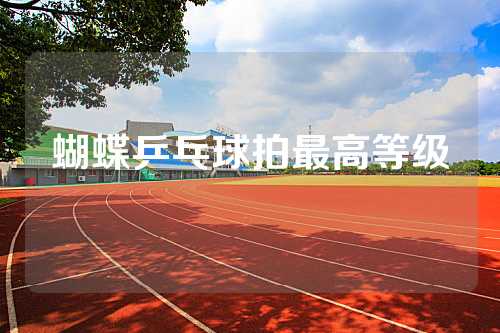 蝴蝶乒乓球拍最高等级