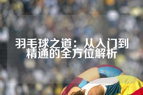 羽毛球之道：从入门到精通的全方位解析